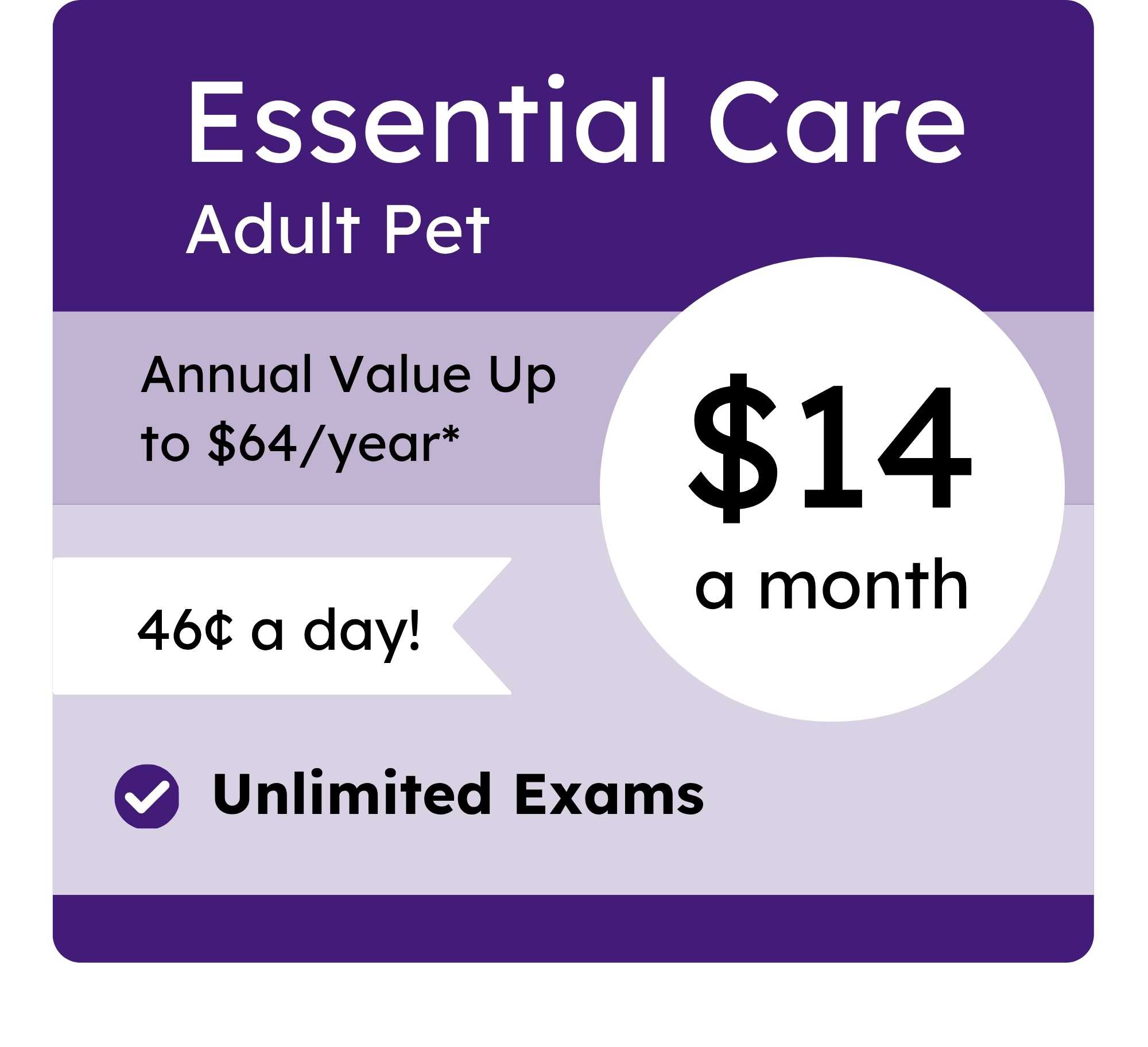 Kent VIPet Plan_pricing_Essential_Whimsical