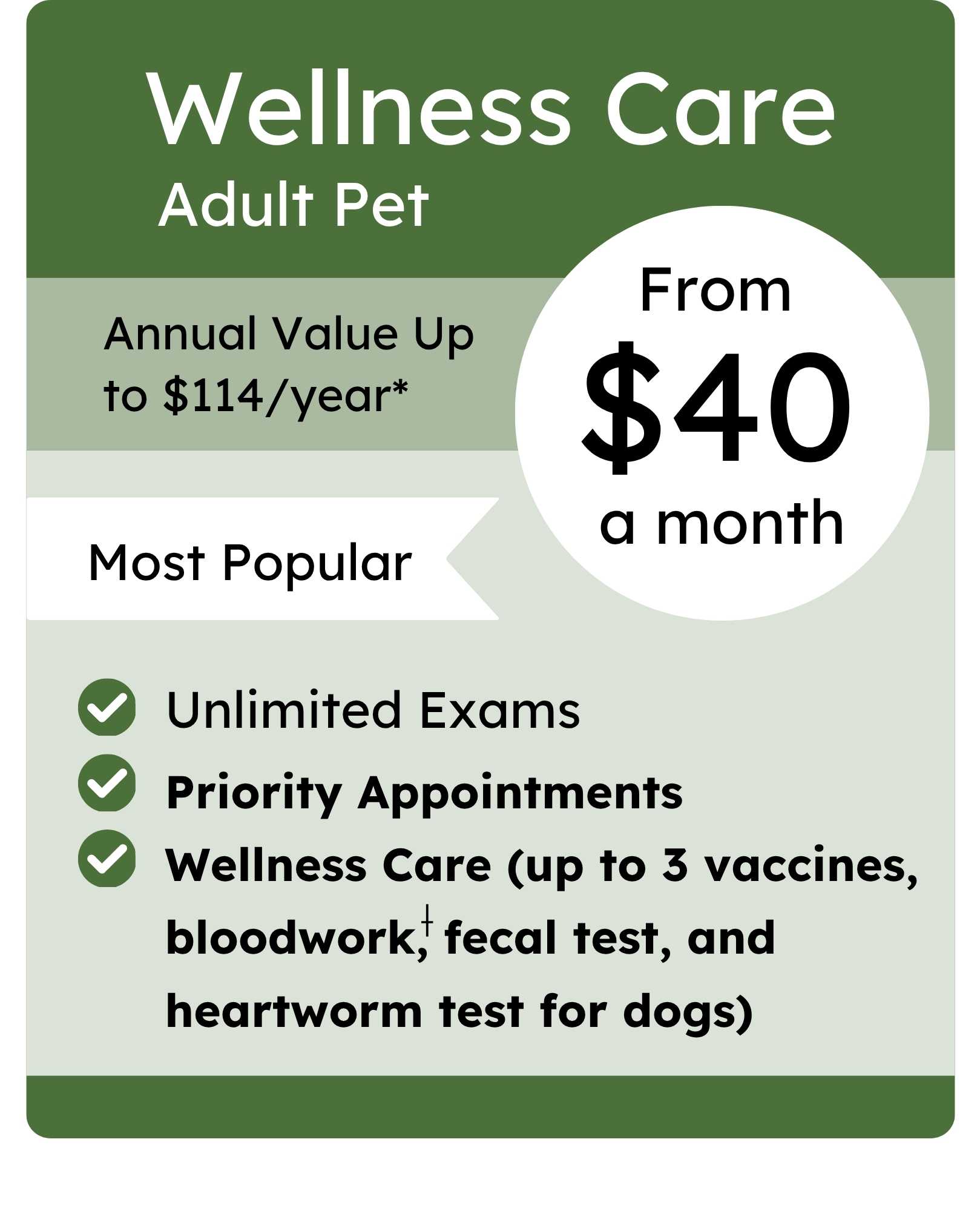 Kent VIPet Plan_pricing_Wellness_Whimsical